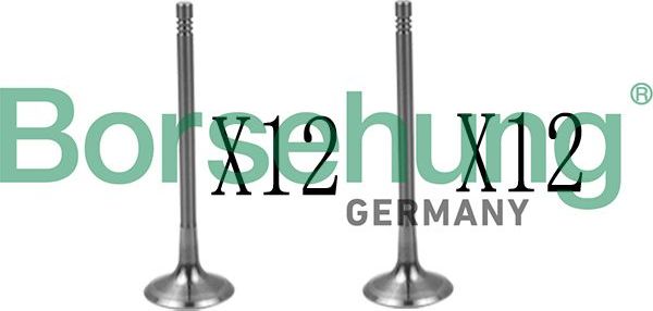 КОМПЛЕКТ КЛАПАНОВ 1212 Borsehung. Артикул B18639