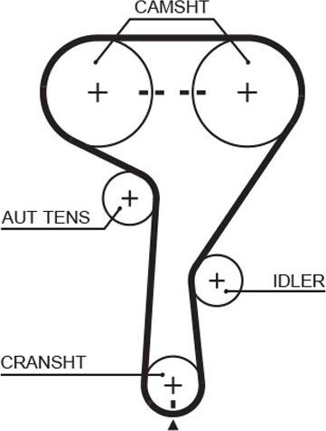 Ремень ГРМ Gates PowerGrip® для Chevrolet Aveo I 2005-2012. Артикул 5603XS