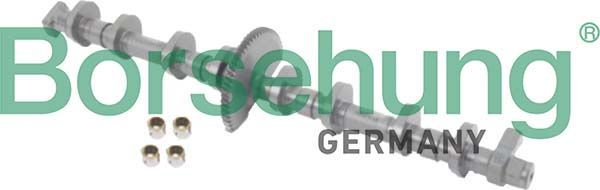 Вал эксцентриковый с подшипниками Borsehung. Артикул B12680
