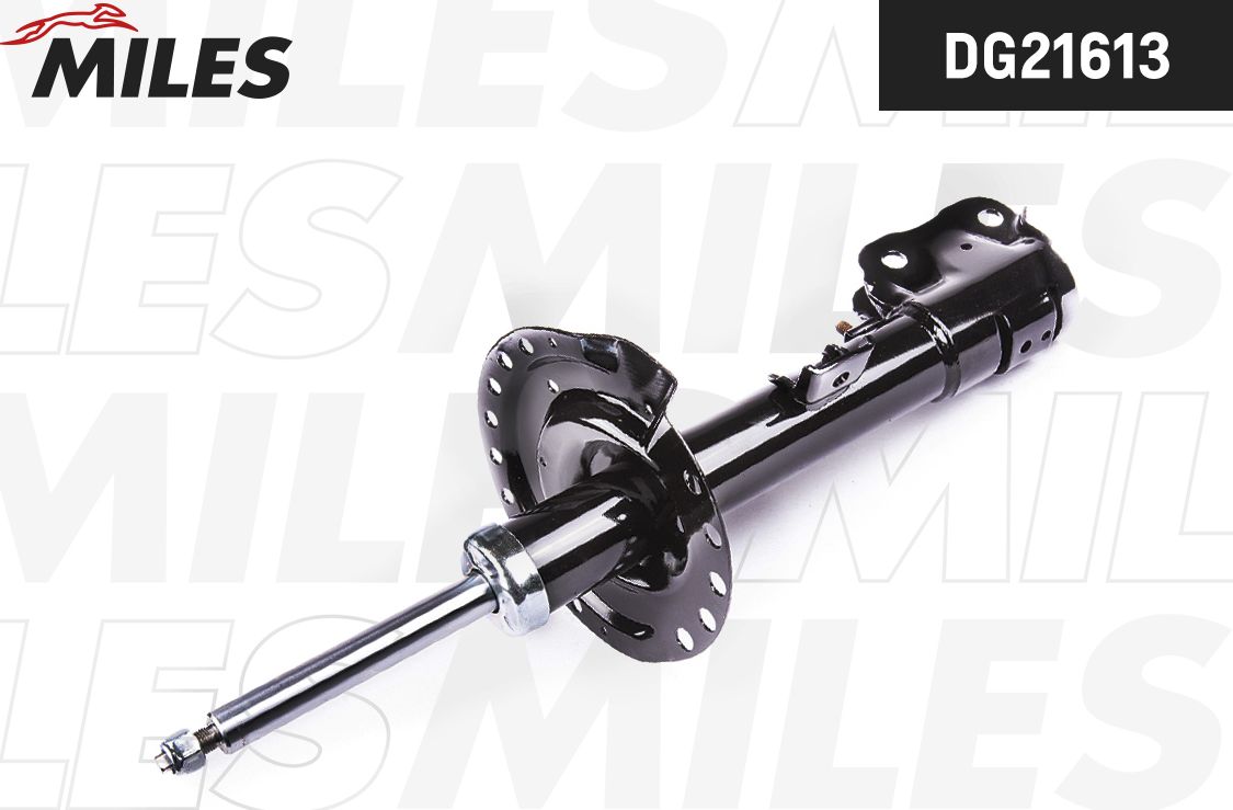 Амортизатор Miles. Артикул DG21613
