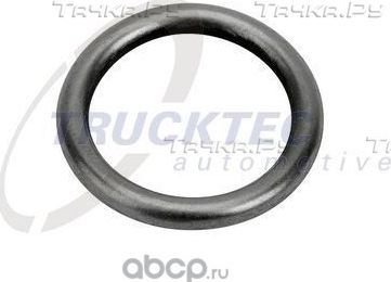 Кольцо форсунки уплотнительное Trucktec Automotive. Артикул 01.10.220
