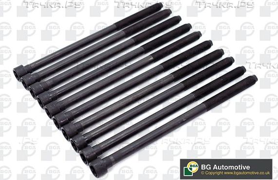 Комплект болтов ГБЦ BGA для Fiat Punto II 1999-2012. Артикул BK4396