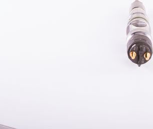 Форсунка топливная Bosch для MAN TGX 2007-2026. Артикул 0 445 120 219