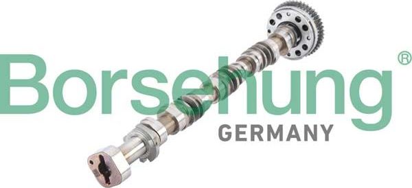 Распредвал Borsehung. Артикул B12380