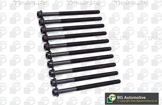Комплект болтов ГБЦ BGA для Ford Galaxy I 1996-2006. Артикул BK6315