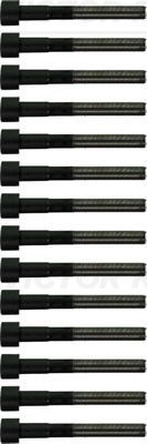 Комплект болтов ГБЦ Victor Reinz для Lexus GS II 1997-2004. Артикул 14-10112-01