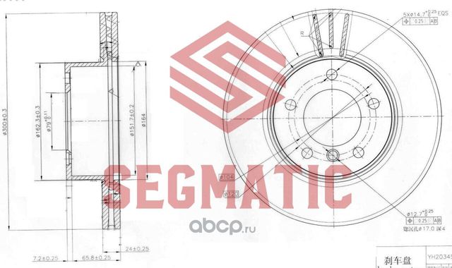 ДИСК ТОРМОЗНОЙ (Segmatic). Артикул SBD30093357