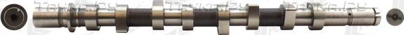 Распредвал AE (Чугун) для Renault Grand Scenic II 2004-2008. Артикул CAM736