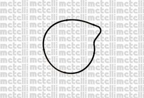 Помпа (водяной насос) Metelli. Артикул 24-1179