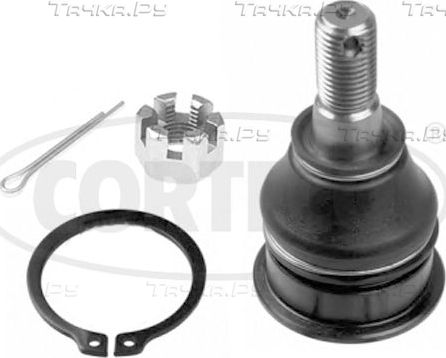 Шаровая опора Corteco правая/левая нижняя для Nissan Maxima A33 2000-2003. Артикул 49400398