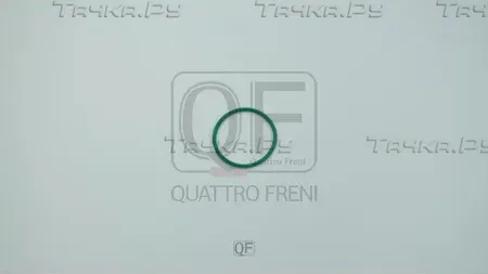 КОЛЬЦО УПЛОТНИТЕЛЬНОЕ ТОПЛИВНОГО НАСОСА (Quattro Freni). Артикул QF76A00113