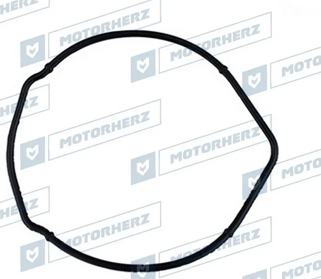 Прокладка насоса ГУР (Motorherz). Артикул HPP0019GP