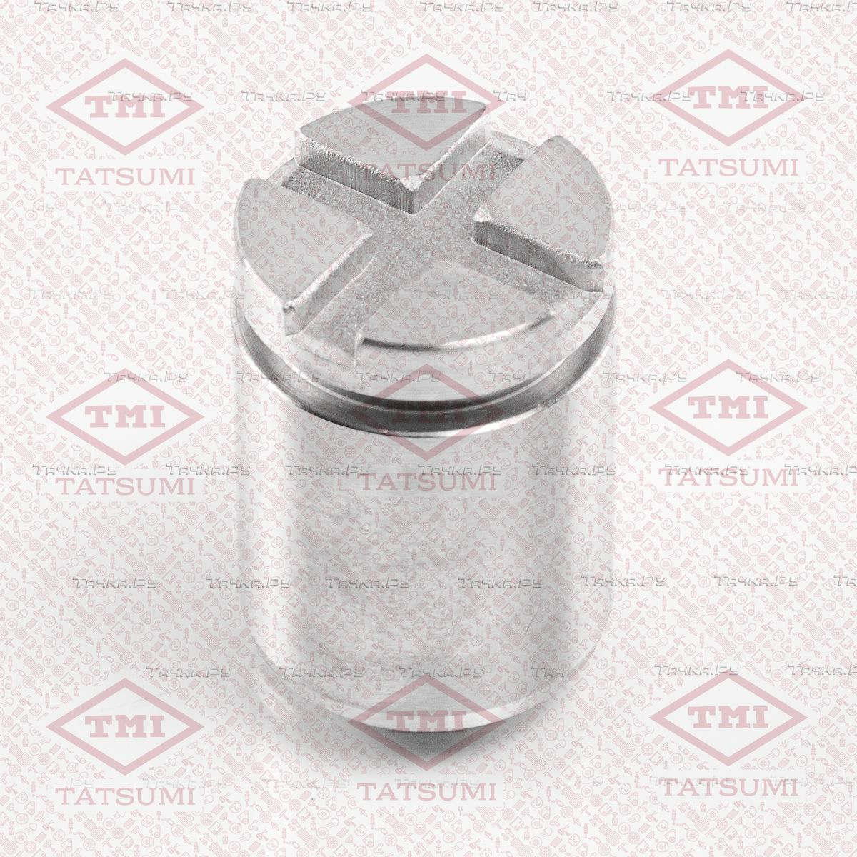 Поршень тормозного суппорта (Tatsumi). Артикул TCG1309