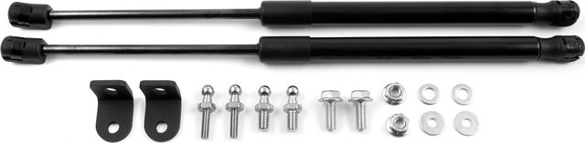 Амортизаторы (упоры) капота Москвич 3е 2022-2026. Артикул ARBORI.HD.065101