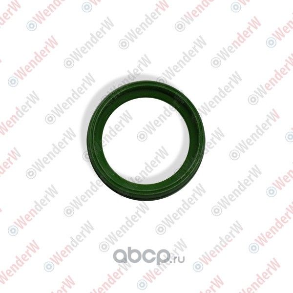 ПРОКЛАДКА ВПУСКНОГО КОЛЛЕКТОРА 1,2L AUDI A1 10-.., A3 04-13, SKODA FABIA 07-15 (Wenderw). Артикул WERK007