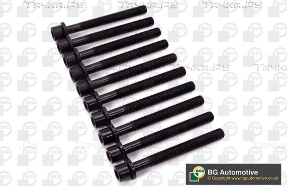 Комплект болтов ГБЦ BGA для Audi A4 I (B5) 1995-2001. Артикул BK6393