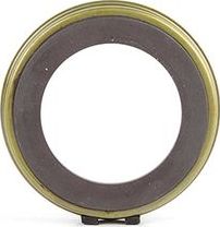 КОЛЬЦО ЗАДНЕГО ДАТЧИКА ABS  FORD FOCUS-I,FIESTA,F BSG. Артикул BSG 30-840-038