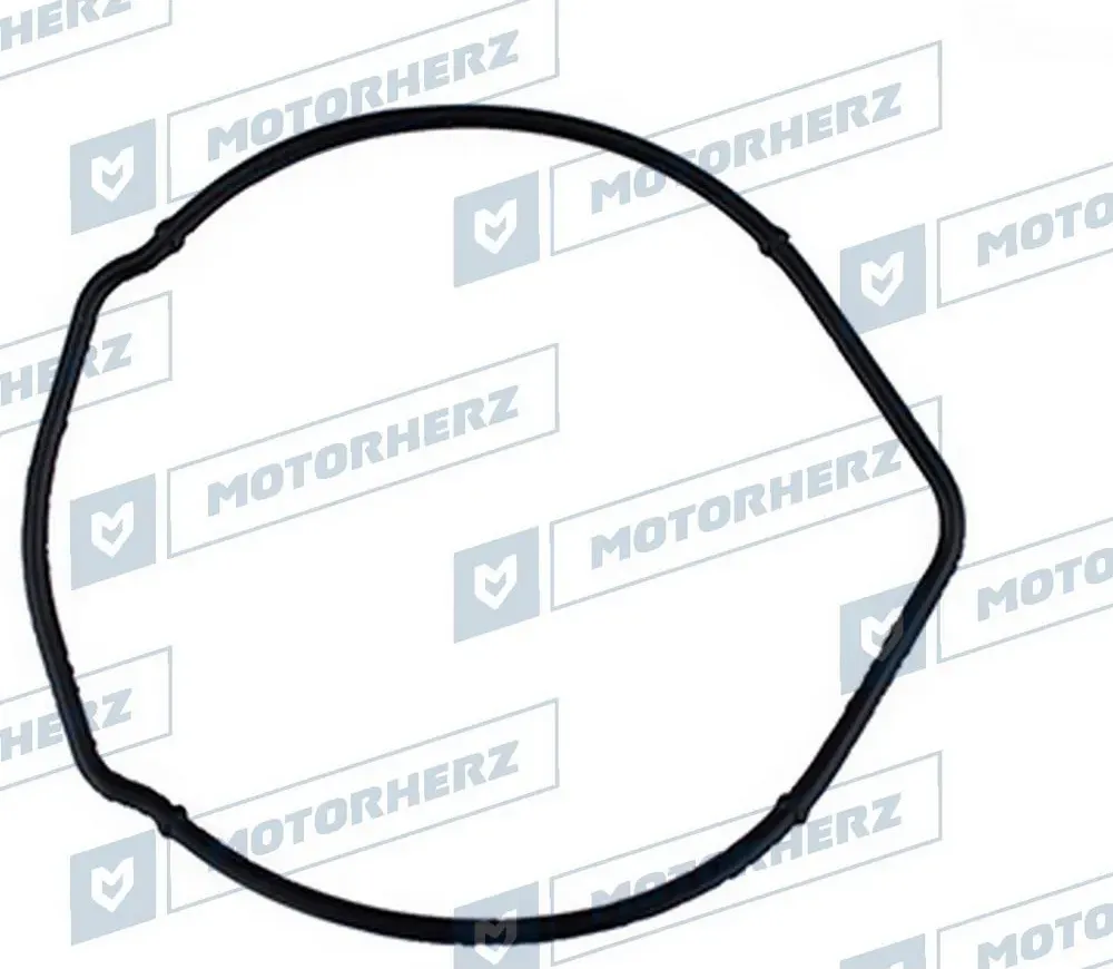 Прокладка насоса ГУР (Motorherz). Артикул HPP0019GP