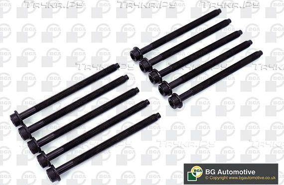 Комплект болтов ГБЦ BGA для Ford Transit Connect II 2013-2026. Артикул BK2329