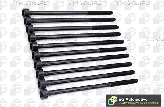Комплект болтов ГБЦ BGA для Alfa Romeo 147 I 2001-2010. Артикул BK4357