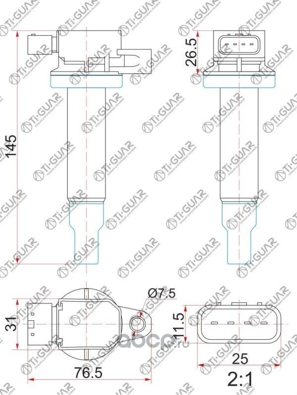 Катушка зажигания (TI-Guar). Артикул TG9091902240
