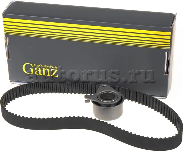 Ремкомплект ГРМ (Ganz) Ganz. Артикул GIE34009