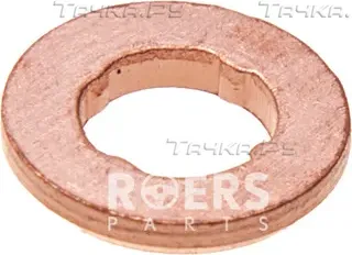 Ремкомплект топливной форсунки (Roers Parts). Артикул RP27RB017