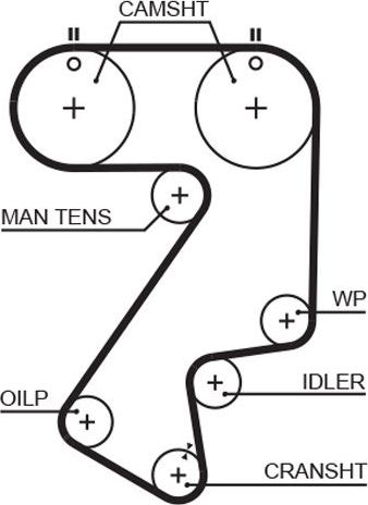 Ремень ГРМ Gates PowerGrip® для Toyota Caldina II 2000-2001. Артикул 5404XS