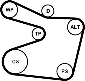 Приводной ремень поликлиновой с роликами (комплект) ContiTech. Артикул 6PK1555K1