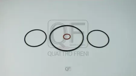 РЕМКОМПЛЕКТ ВАКУУМНОГО НАСОСА (Quattro Freni). Артикул QF34F00017