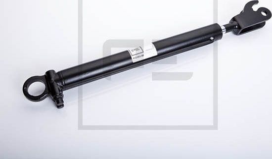 Цилиндр подъема кабины PE Automotive. Артикул 013.651-00A