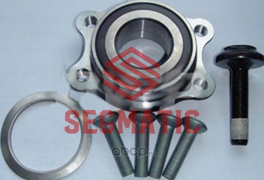 Ступица колеса (Segmatic). Артикул SGWH30204274