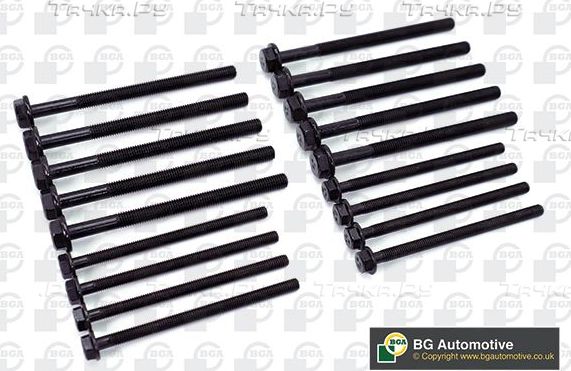 Комплект болтов ГБЦ BGA для Ford Ranger III 2011-2015. Артикул BK9602