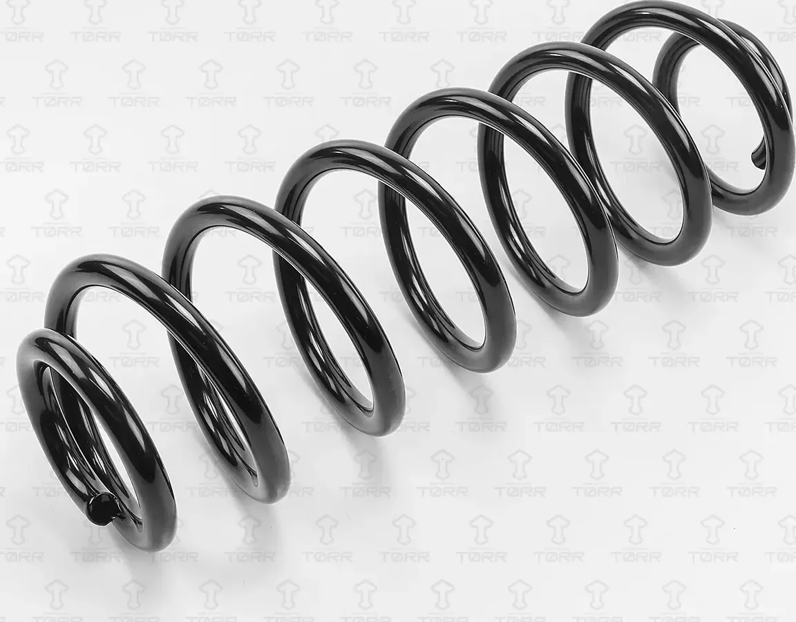Пружина подвески VW PASSAT 05- задн.(в упак.2шт.) (Torr). Артикул DF0131