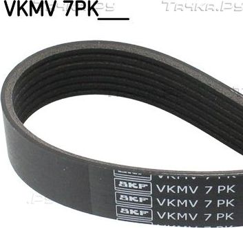 Приводной ремень поликлиновой SKF для Renault Scenic II 2005-2008. Артикул VKMV 7PK1705