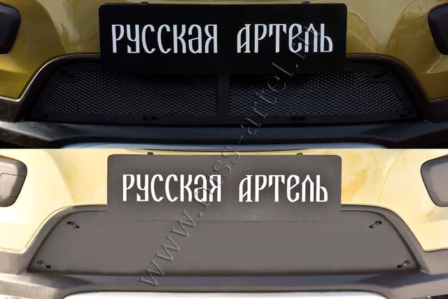 Защитная сетка и заглушка Русская Артель решетки переднего бампера для Renault Sandero Stepway II 2014-2018 дорестайлинг. Артикул SRR-134062