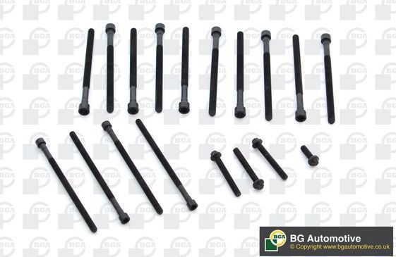 Комплект болтов ГБЦ BGA для BMW 1 I (E82/E88) 2007-2013. Артикул BK0904