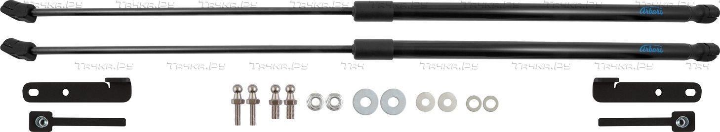 Амортизаторы (упоры) капота Faw Bestune T55 2021-2026. Артикул ARBORI.HD.058103