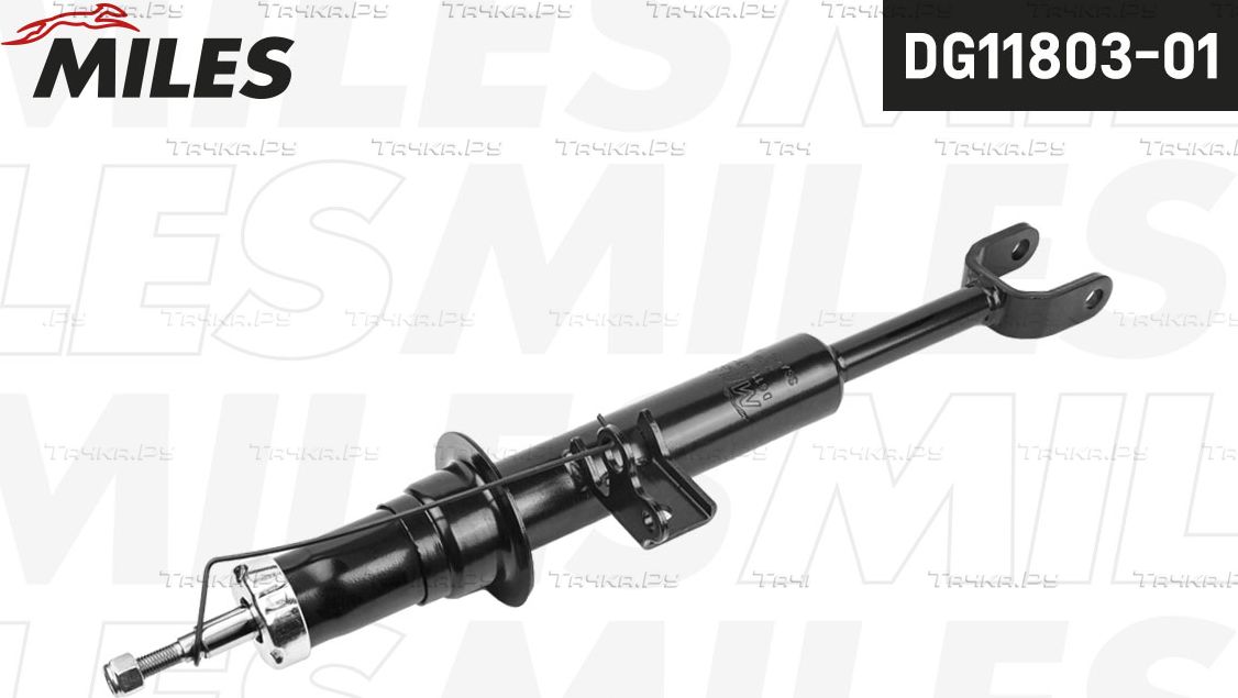 Амортизатор Miles передний левый для BMW 6 III (F06/F13/F12) 2011-2018. Артикул DG11803-01