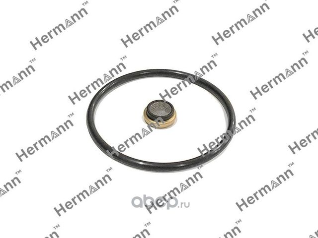Ремкомплект (Hermann). Артикул HR06H103144F