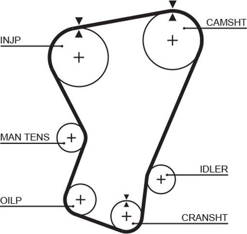 Ремень ГРМ Gates PowerGrip™. Артикул 5065