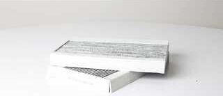 Салонный фильтр BSG. Артикул BSG 60-145-030