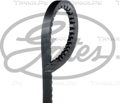 Приводной ремень клиновой Gates FleetRunner™ V-Belt. Артикул AVX13X1150HD