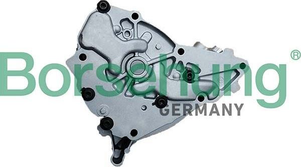 Масляный насос Borsehung для BMW X3 II (F25) 2014-2017. Артикул B11902