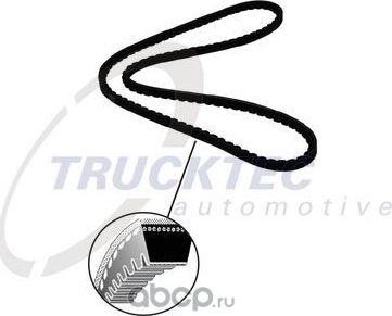 Приводной ремень клиновой Trucktec Automotive. Артикул 03.19.044