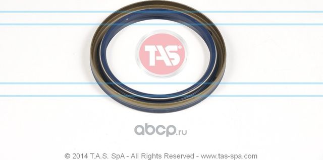 Сальник 75х95х10, 0179973047, 0089972246, 0099971546, 0179978347, 0 (TAS). Артикул T19636