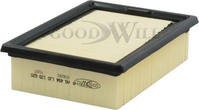 Воздушный фильтр GoodWill. Артикул AG 494