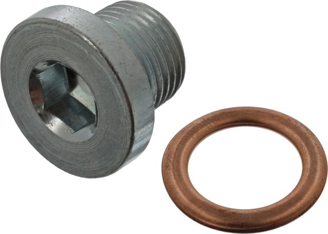 Сливная пробка масляного поддона двигателя SWAG (сталь). Артикул 62 94 5618