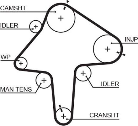 Ремень ГРМ Gates PowerGrip® для Mazda 323 VI (BJ) 1996-2004. Артикул 5482XS