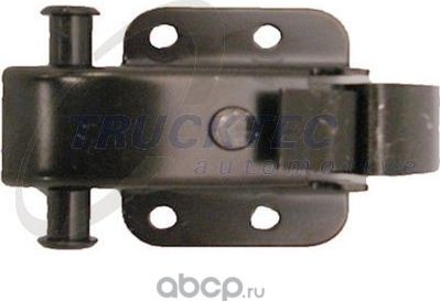 Фиксатор двери (Trucktec Automotive) Trucktec Automotive. Артикул 02.53.247